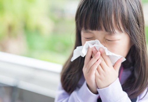 Những hiểu biết cơ bản về cúm a